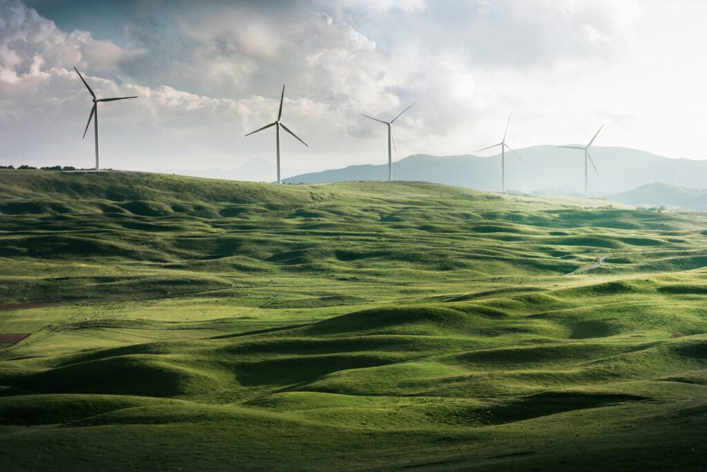 And Is Sustainability A Focus?