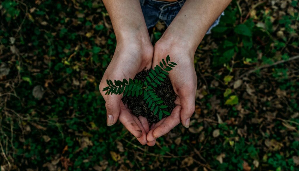 And Is Sustainability A Focus?