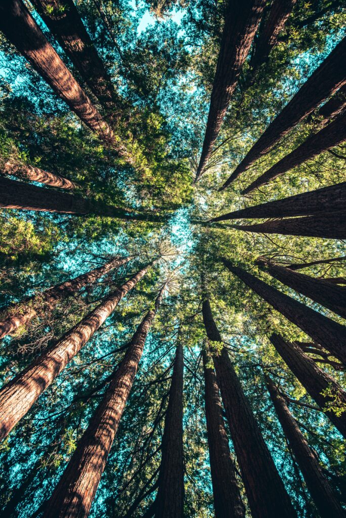 And Is Sustainability A Focus?
