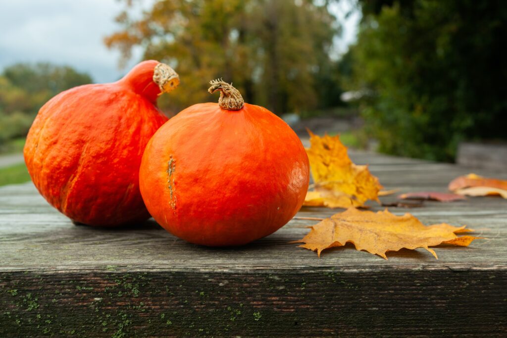 What Seasonal Or Locally-sourced Ingredients Are Commonly Featured?